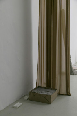 Cinthia De Levie